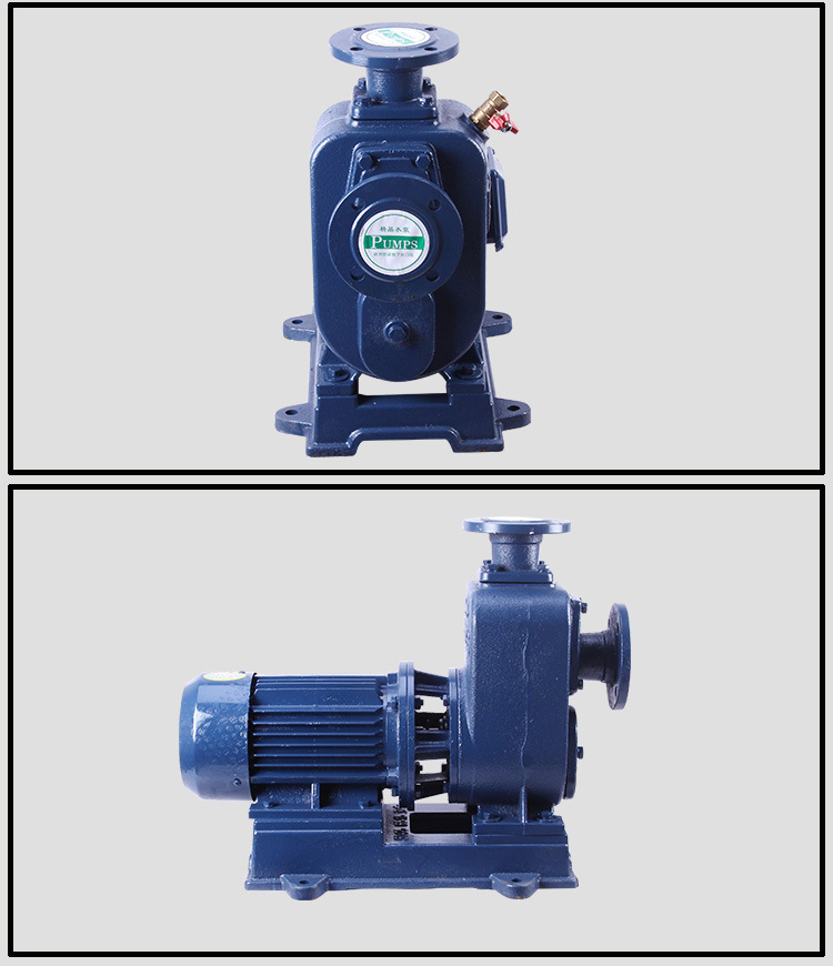 ZWL直联式自吸排污泵产品实拍图2